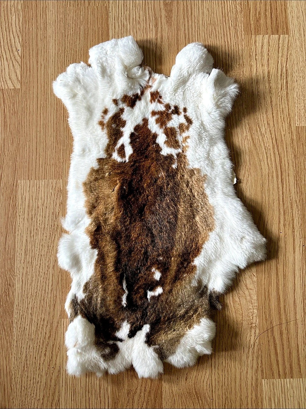 B0266 Rex rabbit hide craft supply